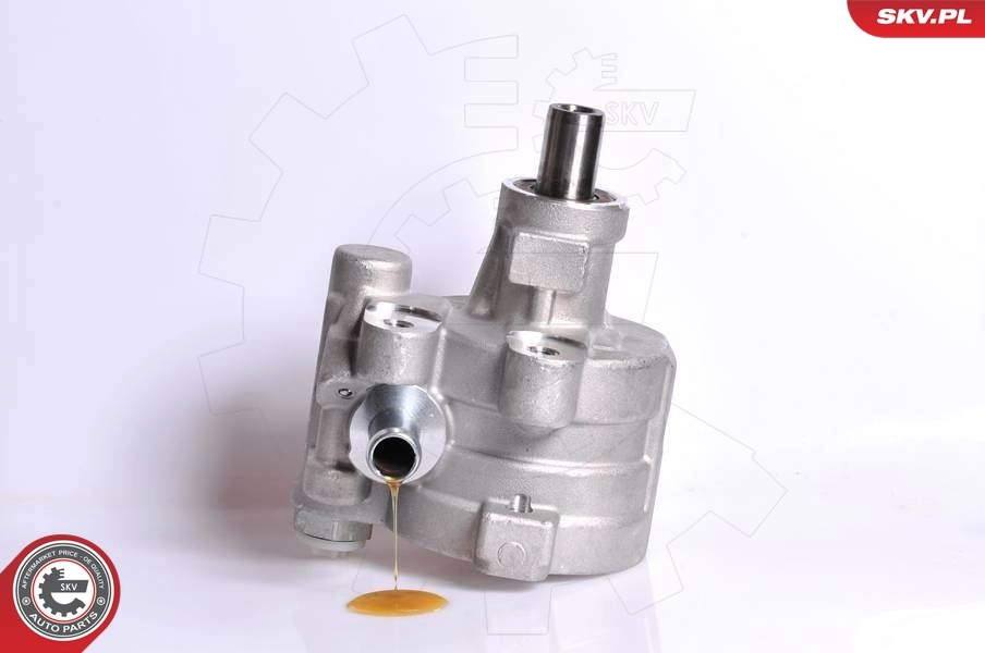 Hydraulic Pump, steering